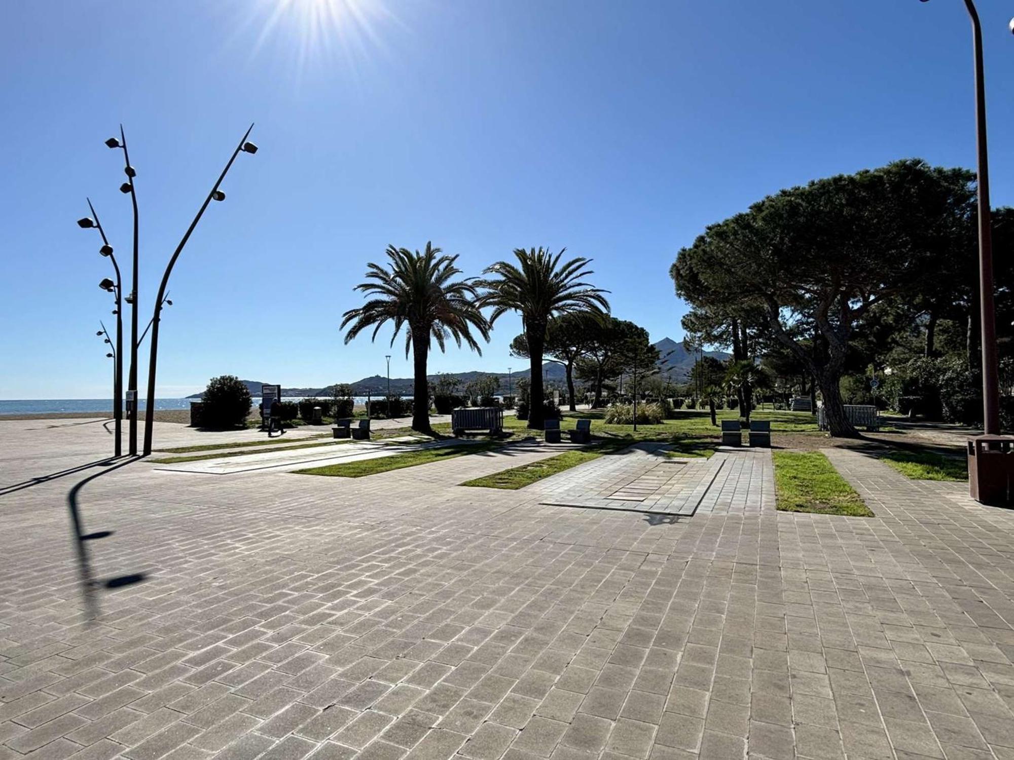 Studio Argelès-sur-Mer, 1 pièce, 2 personnes - FR-1-225-449 Extérieur photo